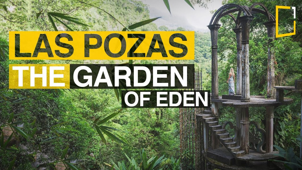 Las Pozas, Xilitla | The surrealist paradise of Edward James
