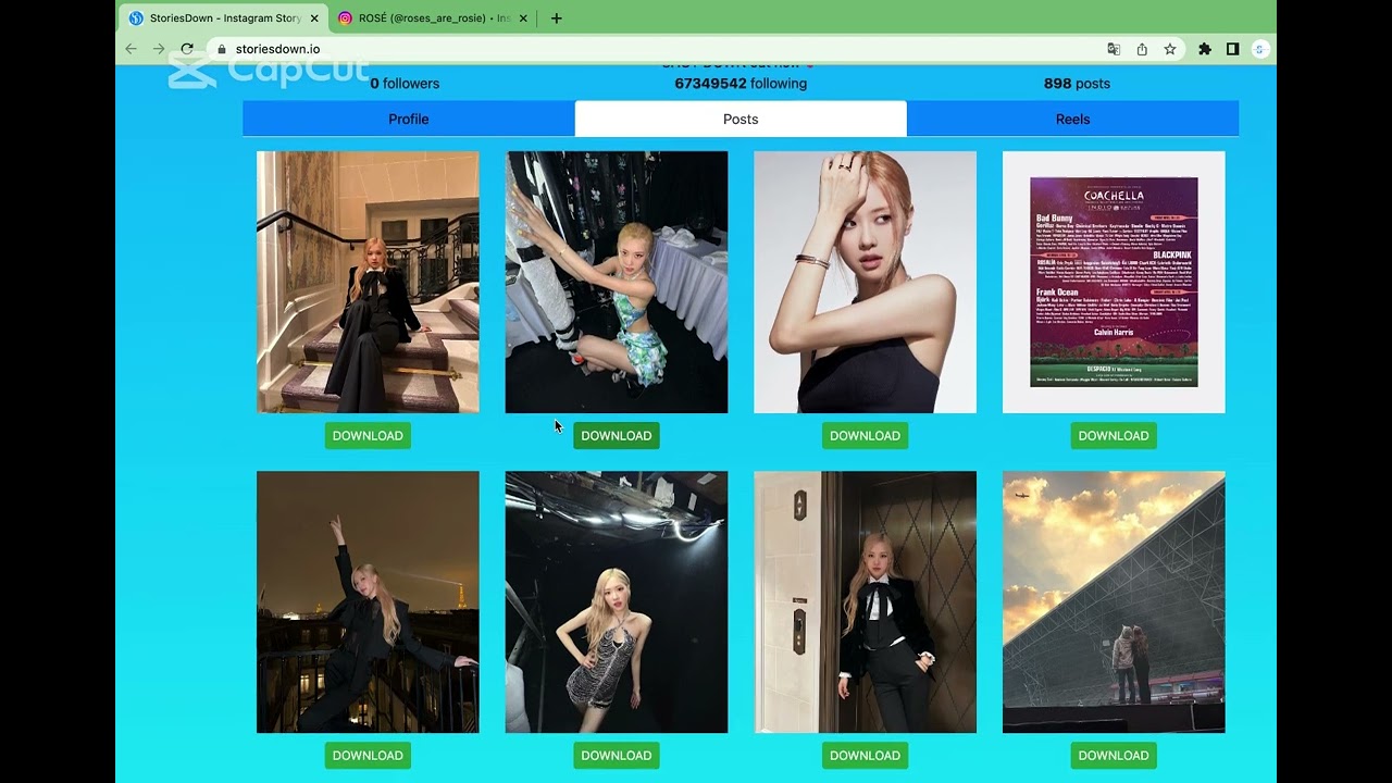 Instagram profile viewer and downloader you can download - storiesdown.io