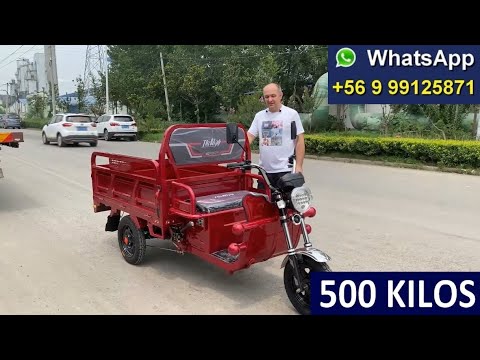 Carro 500 kilos Carrito Triciclo Electrico Torito Moto con carro Tricimoto