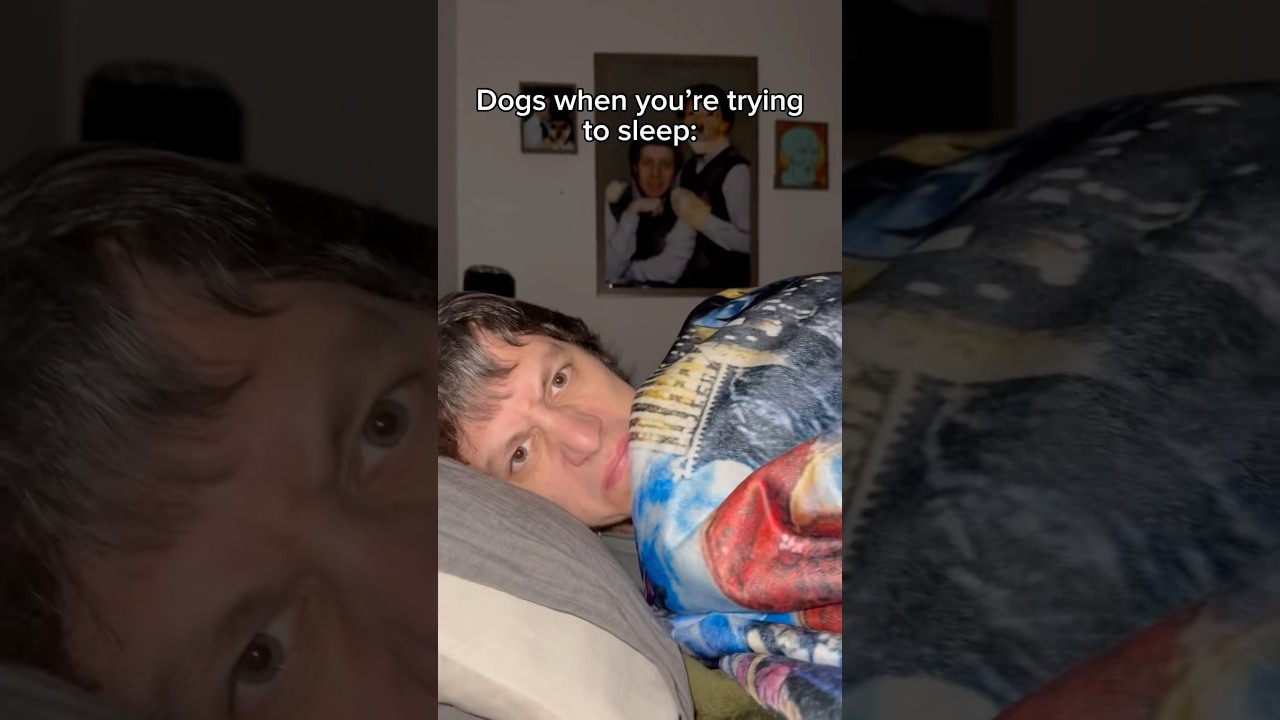 It’s like dogs wait until bedtime on purpose 🙄#dog #funnydogvideos #dogcomedy