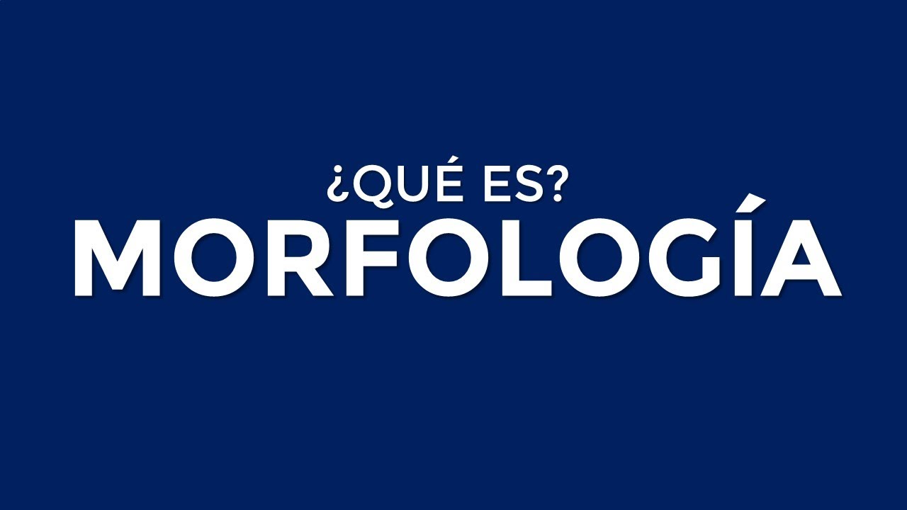 ¿Qué es la MORFOLOGÍA?