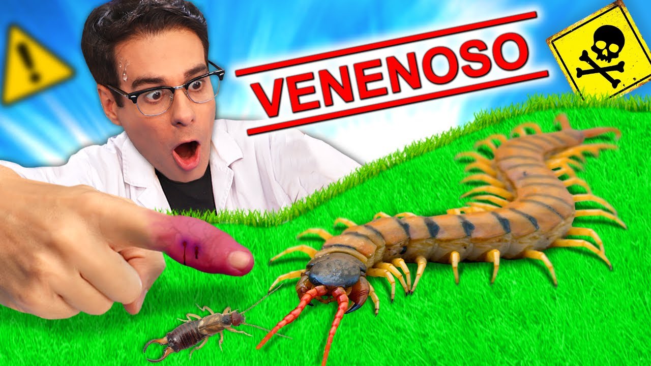 Encontré CIEMPIÉS GIGANTE VENENOSO y No Creerás Lo Que Pasó!!
