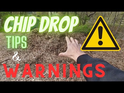 Chip Drop Tips and WARNING | Watch This Before Using Chip Drop