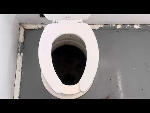 CXT vault toilet