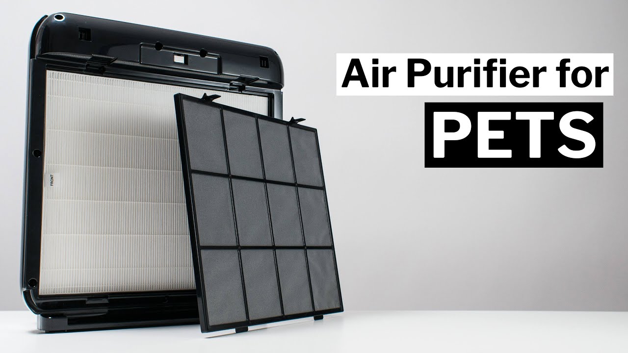 The Best Air Purifier for Pets