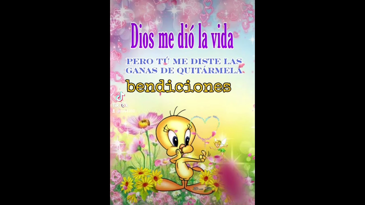 mándaselo a tu tía piolín grosero😈 #meme #bendiciones