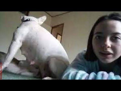 Watch: Denise frazier dog video | Denise Frazier Dog Video | tiktoker Denise frazier dog