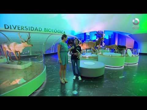 D Todo - Museo de Historia Natural renovado (06/06/2018)