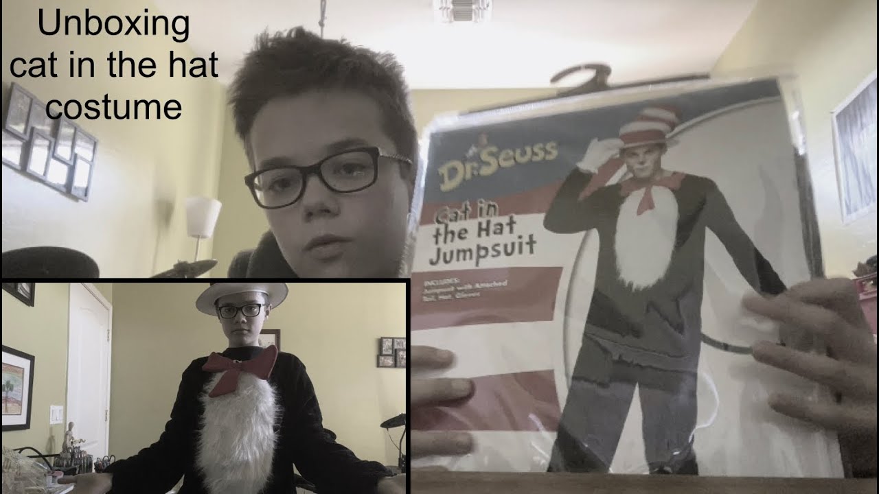 Unboxing cat in the hat costume