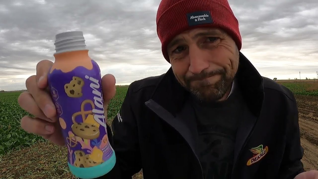 Review: Alani Protein Shake - Munchies