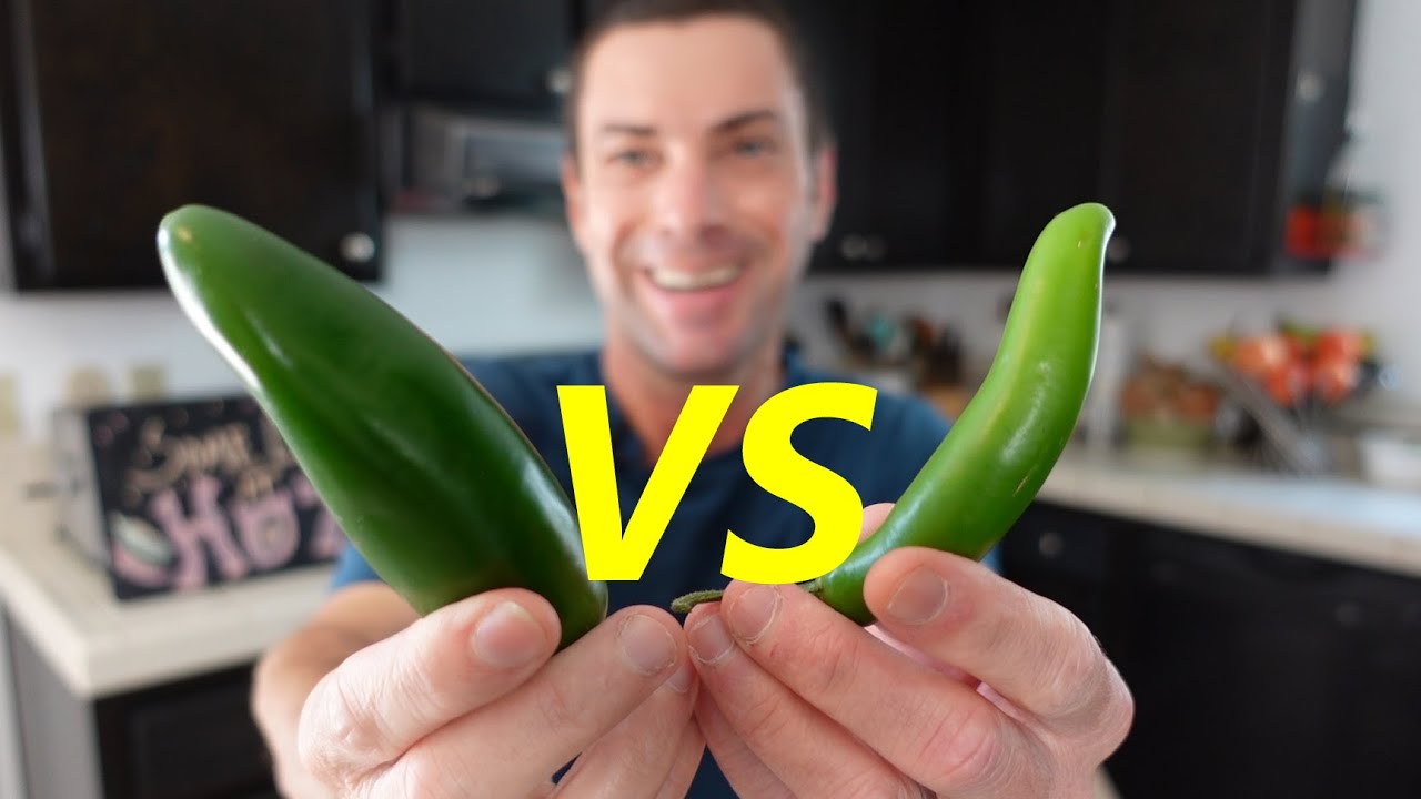 Jalapeno vs Serrano Pepper | Differences & Similarities