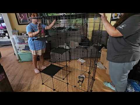 Indoor or Outdoor Cat Cage