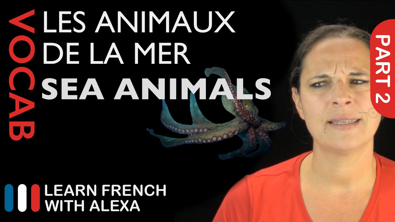 Sea Animals in French Part 2 (basic French vocabulary from Learn French With Alexa)