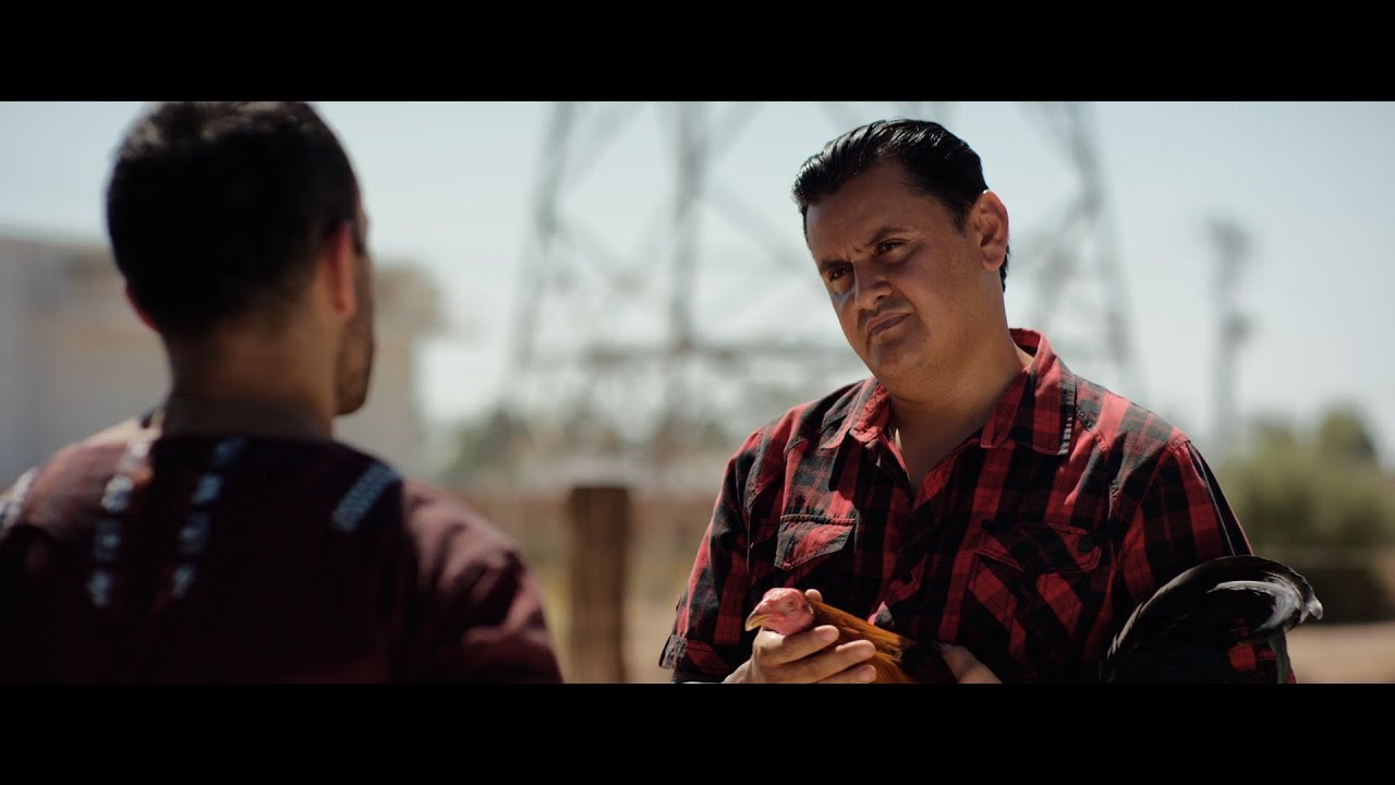 Mi Gallo Trailer Oficial 2024 HD El Compa Camaron