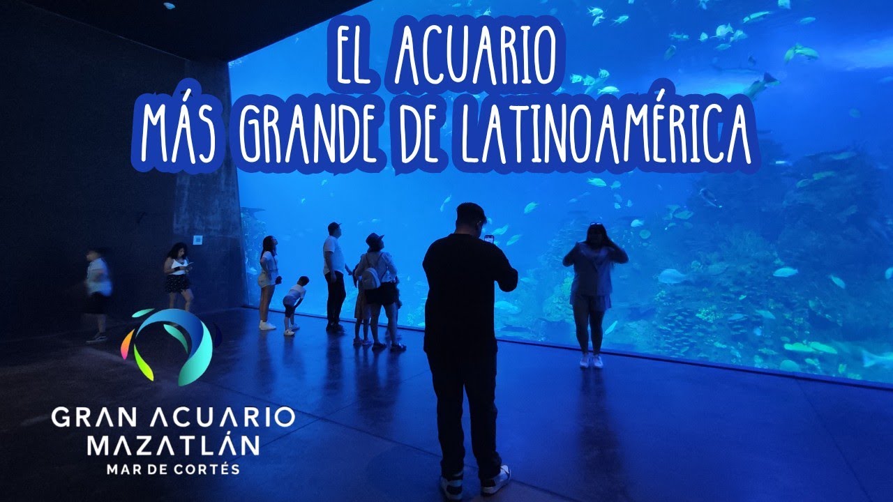 Acuario de Mazatlán • El acuario más grande de Latinoamérica #acuario #mazatlan