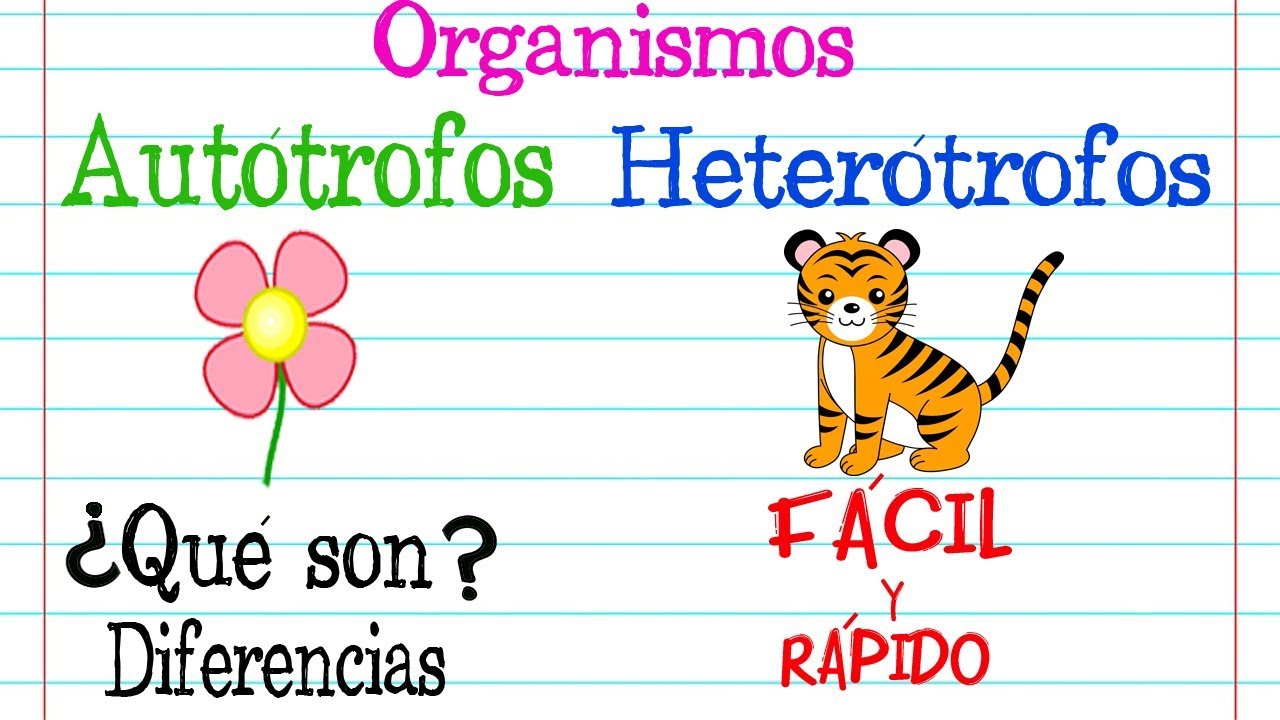 Organismos 🌿AUTÓTROFOS Y HETERÓTROFOS🐝 [Fácil y Rápido] | BIOLOGÍA |