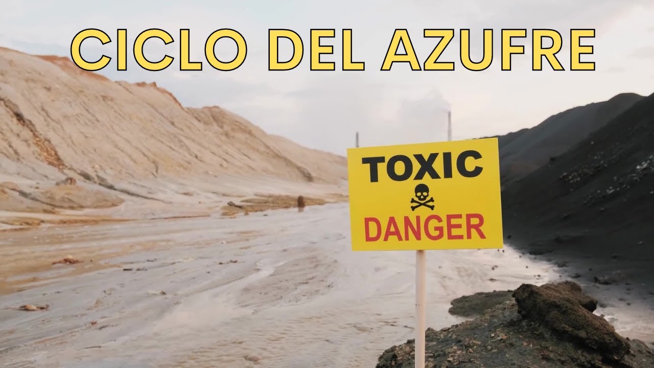 ¿Qué es el CICLO DEL AZUFRE y cuáles son sus ETAPAS? Explicación sencilla🌳🌋