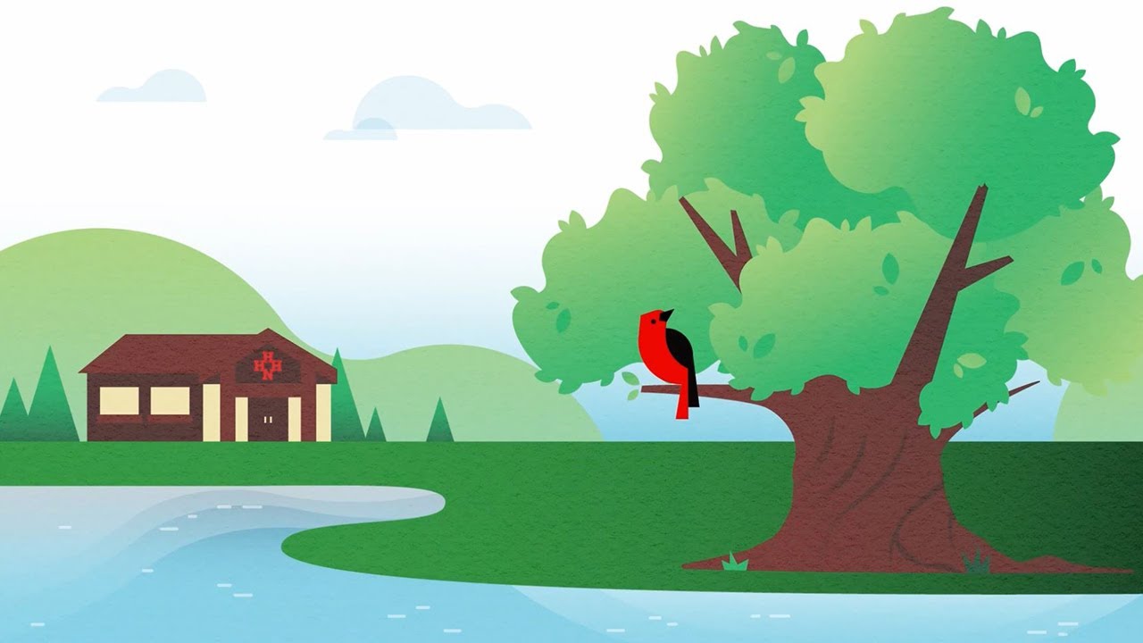 About Hudson Headwaters Health Network