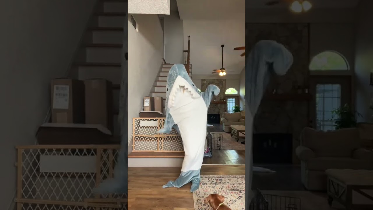 Shark Onesie - Buy Today