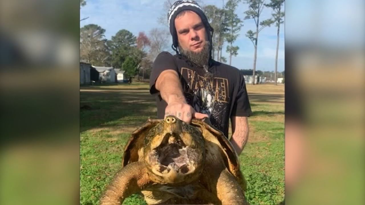 100-year-old giant snapping turtle named 'Thanos' missing, possibly stolen