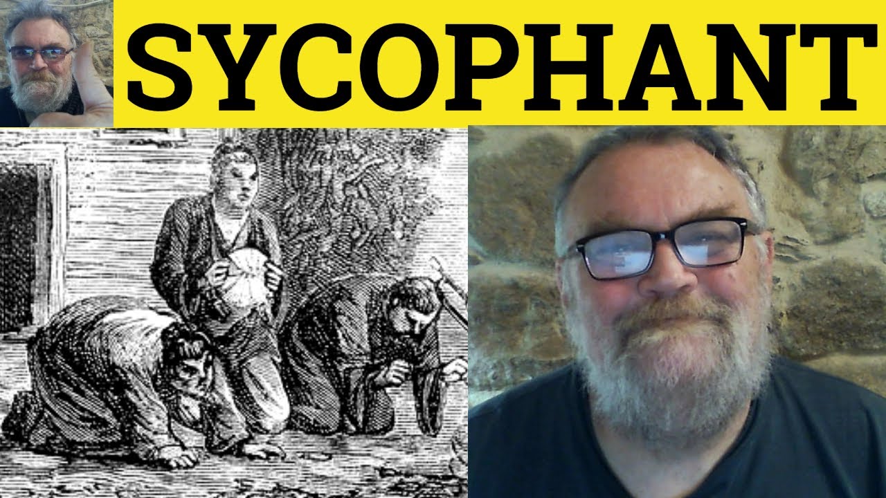 🔵 Sycophant Meaning - Sycophant Definition - Sycophant Examples - Vocabulary Builder - Sycophantic