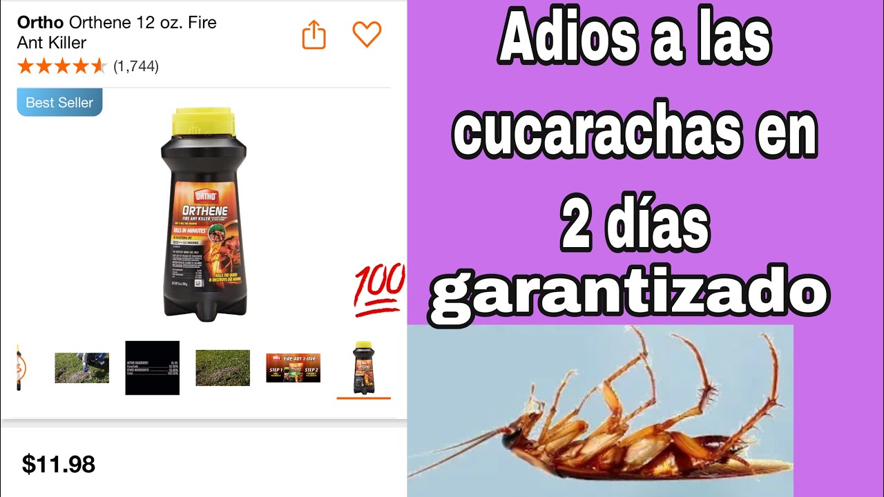 Ortho Orthene Fire Ant Killer DESPIDETE de las CUCARACHAS 🪳para SIEMPRE (TikTok )