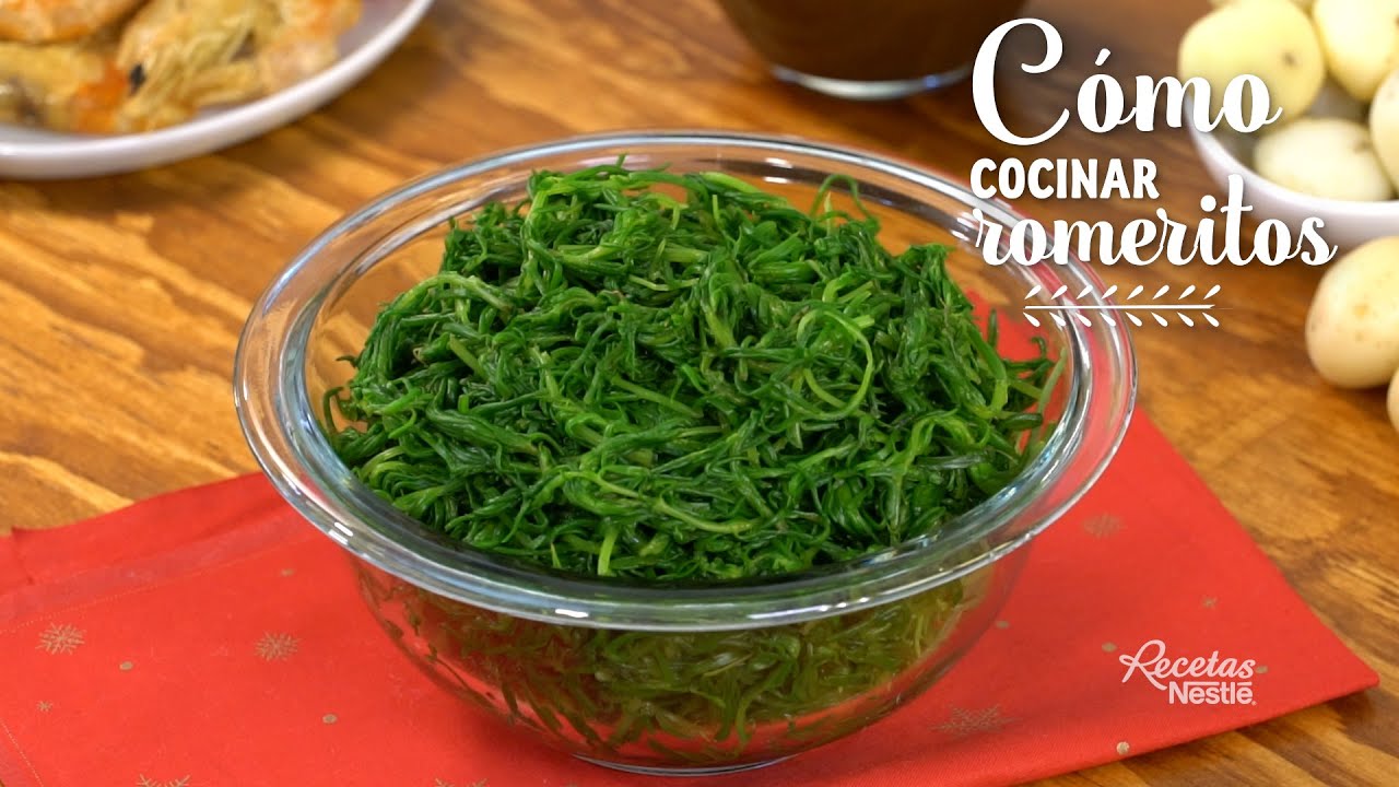 CÓMO COCINAR ROMERITOS