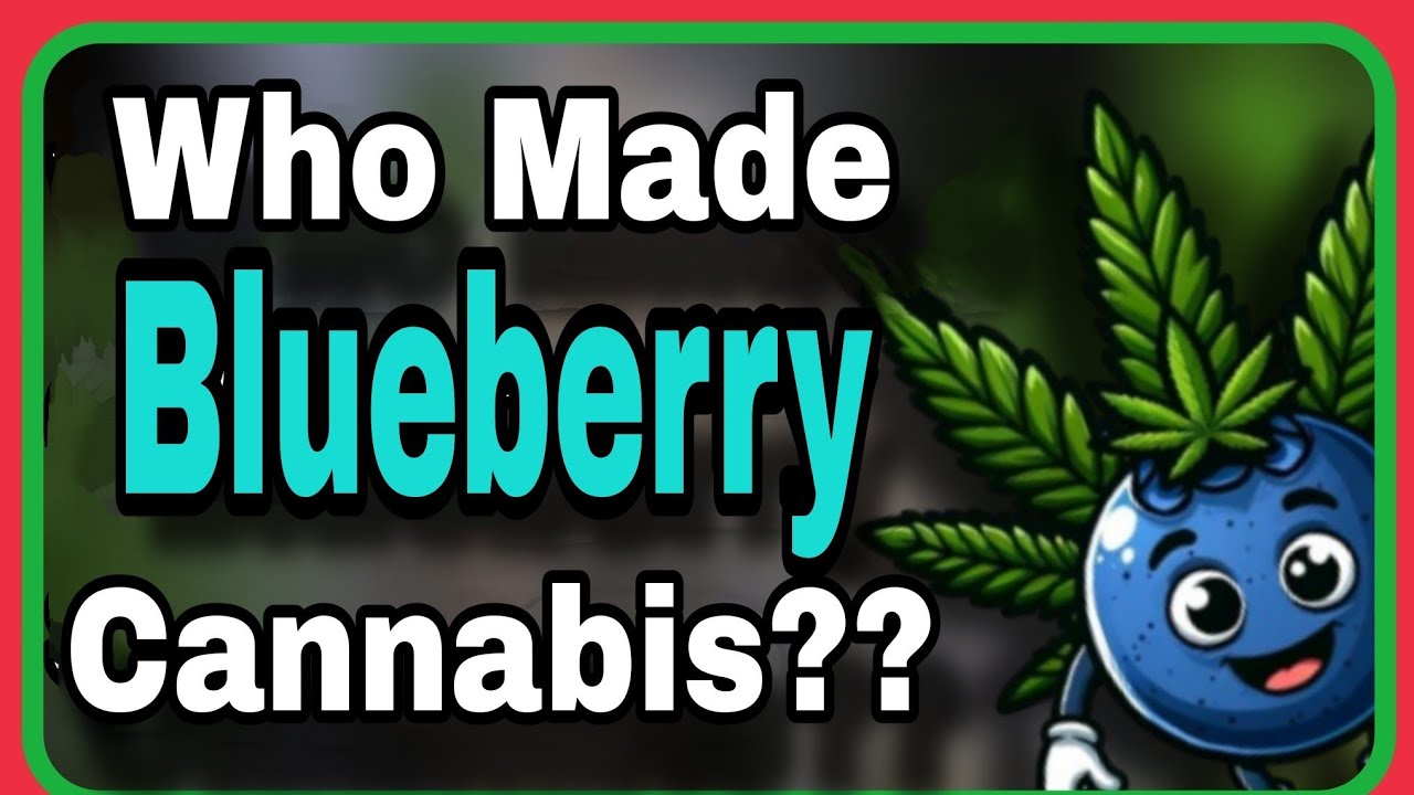 Cannabis Strain Legend: DJ Short (Know Your Blueberry Breeder)