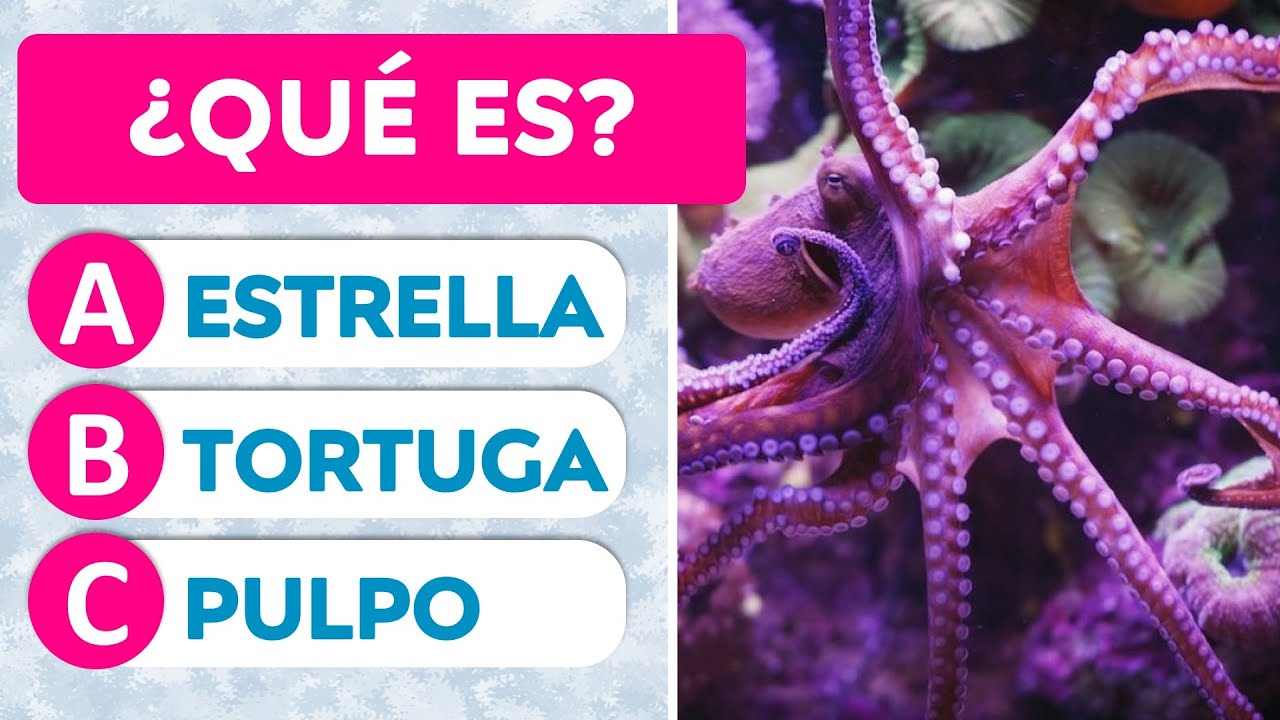 🐶 ADIVINANZAS de ANIMALES del MUNDO para NIÑOS de FÁCIL a DIFÍCIL JUEGOS ACERTIJOS y CONOCIMIENTOS 🐯