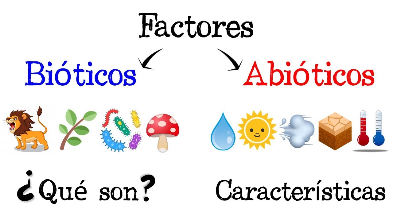 🐝 Factores Bióticos y Abióticos de los Ecosistemas 🌿 [Fácil y Rápido] | BIOLOGÍA |