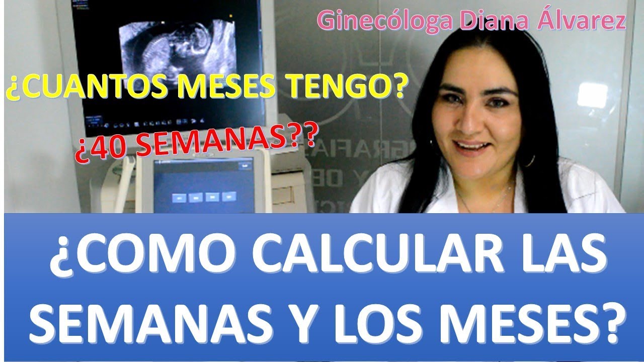 ¿CUANTOS MESES TENGO DE EMBARAZO? ¿COMO CALCULAR SEMANAS?. POR GINECÓLOGA DIANA ALVAREZ