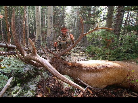 MTN OPS | WHO WE ARE