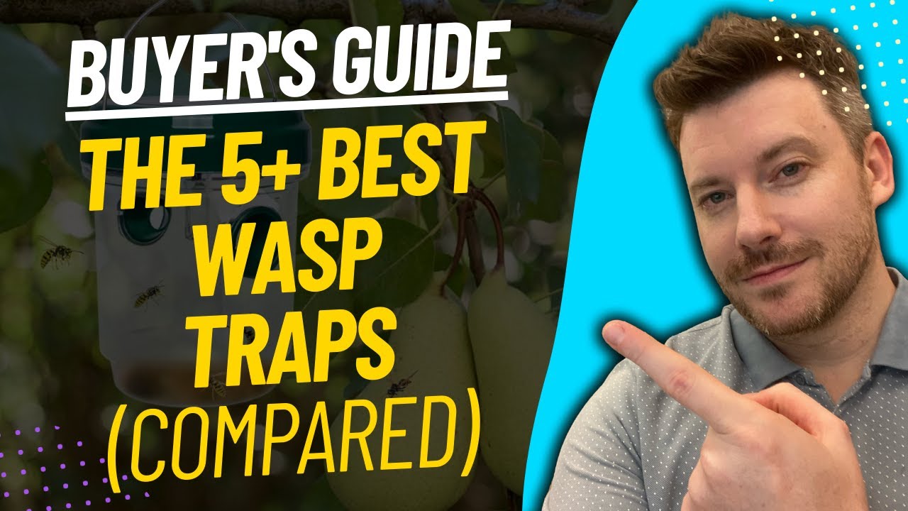 TOP 5 BEST WASP TRAPS - Wasp Trap Review (2023)