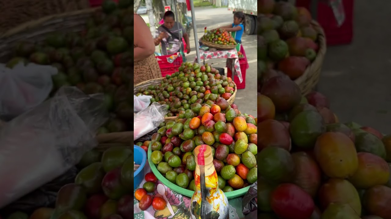 JOCOTES DE CORONA SIN HACER COLA🇸🇻 #jocotes #festival #elsalvador #ventas #tropicalpao #frutas