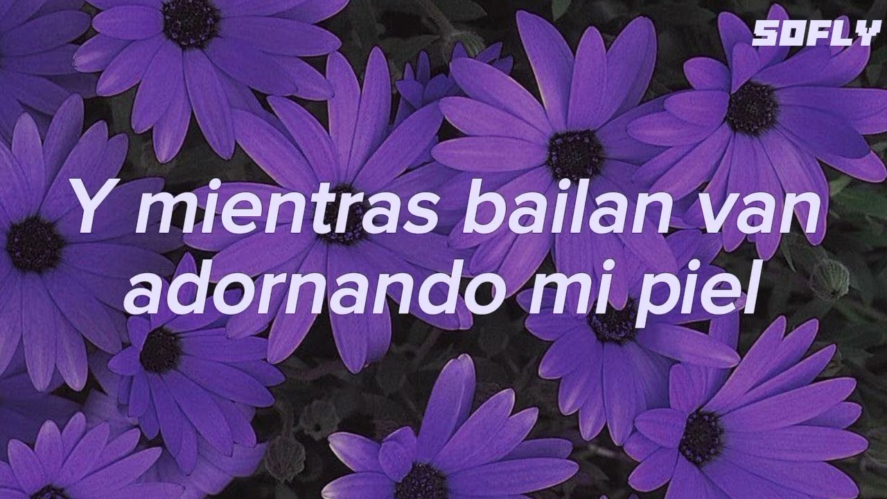 Y BAILA LENTO FLOR MORADA QUE ME RECUERDAS A MI AMADA bugambilia-nasa histoires