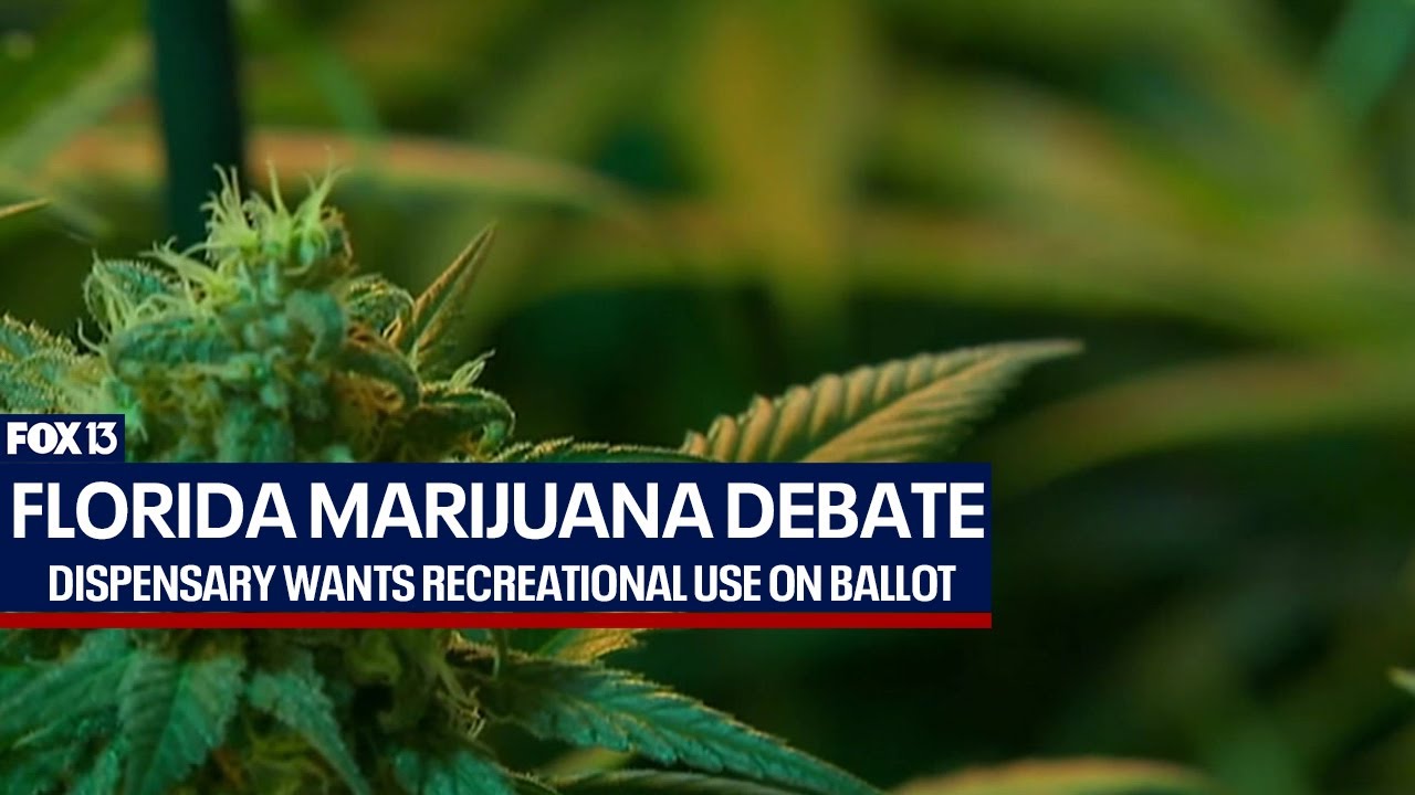 Cannabis dispensary wants recreational marijuana on Florida ballot
