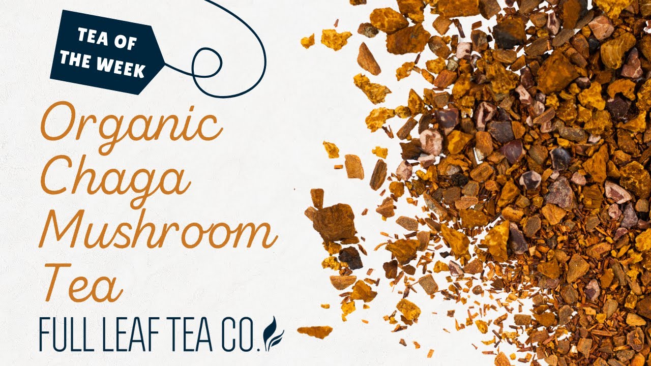 Tea of the Week - Organic Chaga Mushroom Tea 🍃🍄