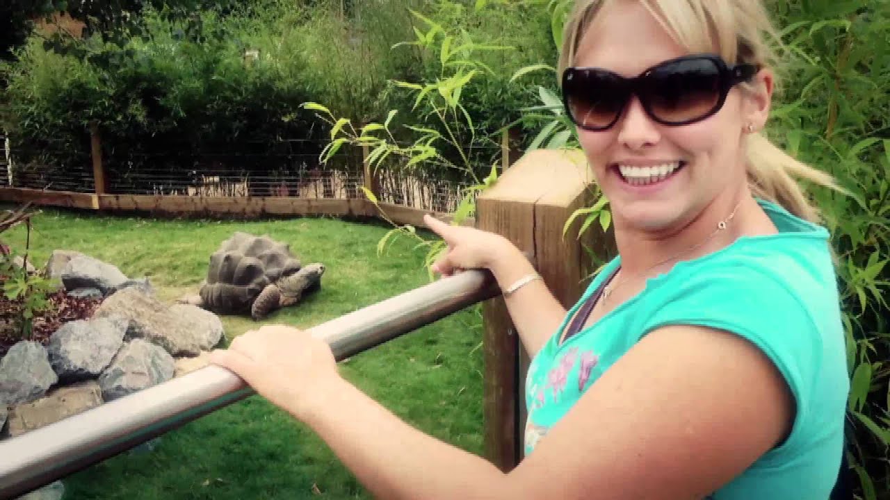 Eccie goes to the zoo