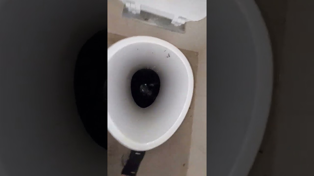 Vault Toilet