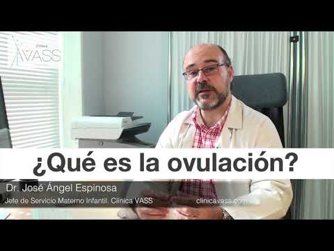 ¿Qué es la ovulación?