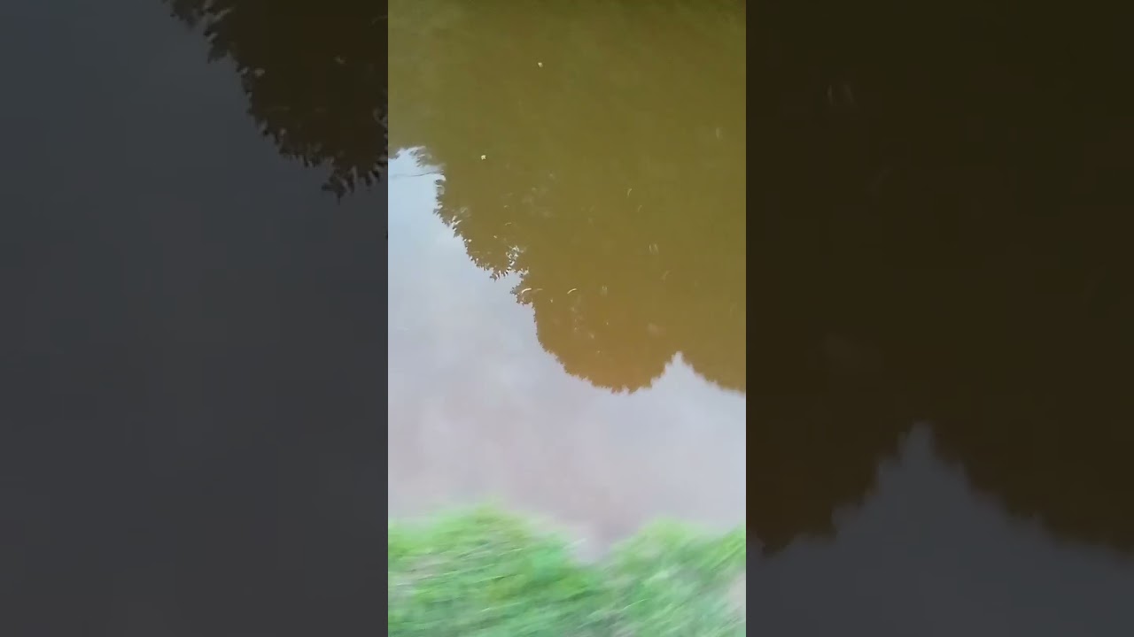 bryci boy had a really big fish he said