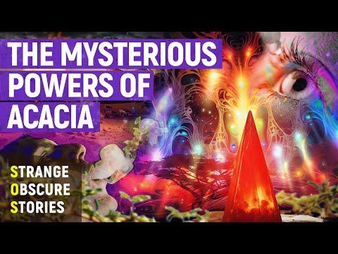 Unlocking the Secrets of Acacia and DMT | SOS (4K)