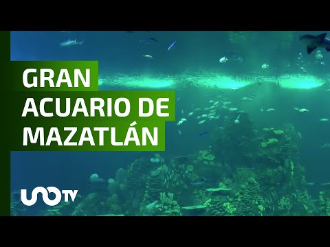 El Gran Acuario de Mazatlán, Mar de Cortés abre sus puertas.