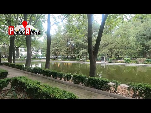 🌳 El Parque Lincoln está lleno de sorpresas en Polanco 📸🏞️