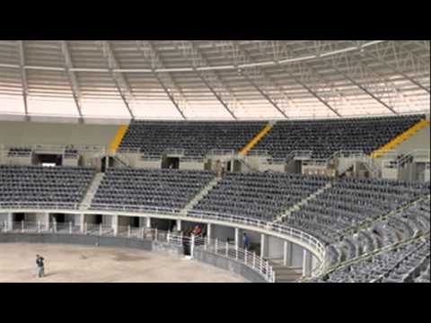 Arena VFG