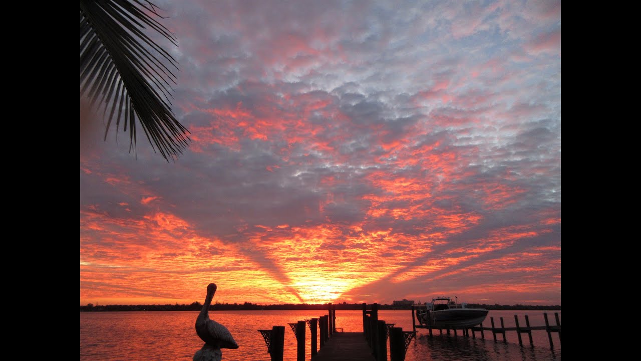 Siesta Key Live - Relaxing Sounds of Calm Waves and Island Life