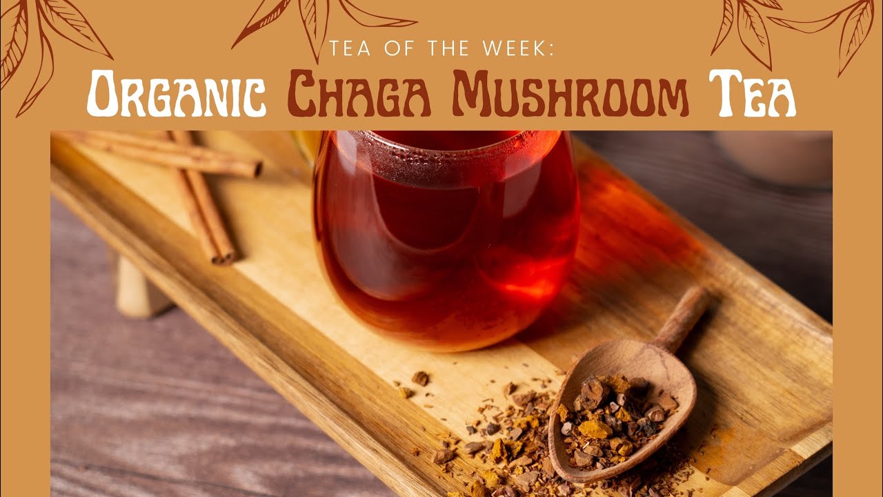 Organic Chaga Mushroom Tea 🍄 | Tea of the Week
