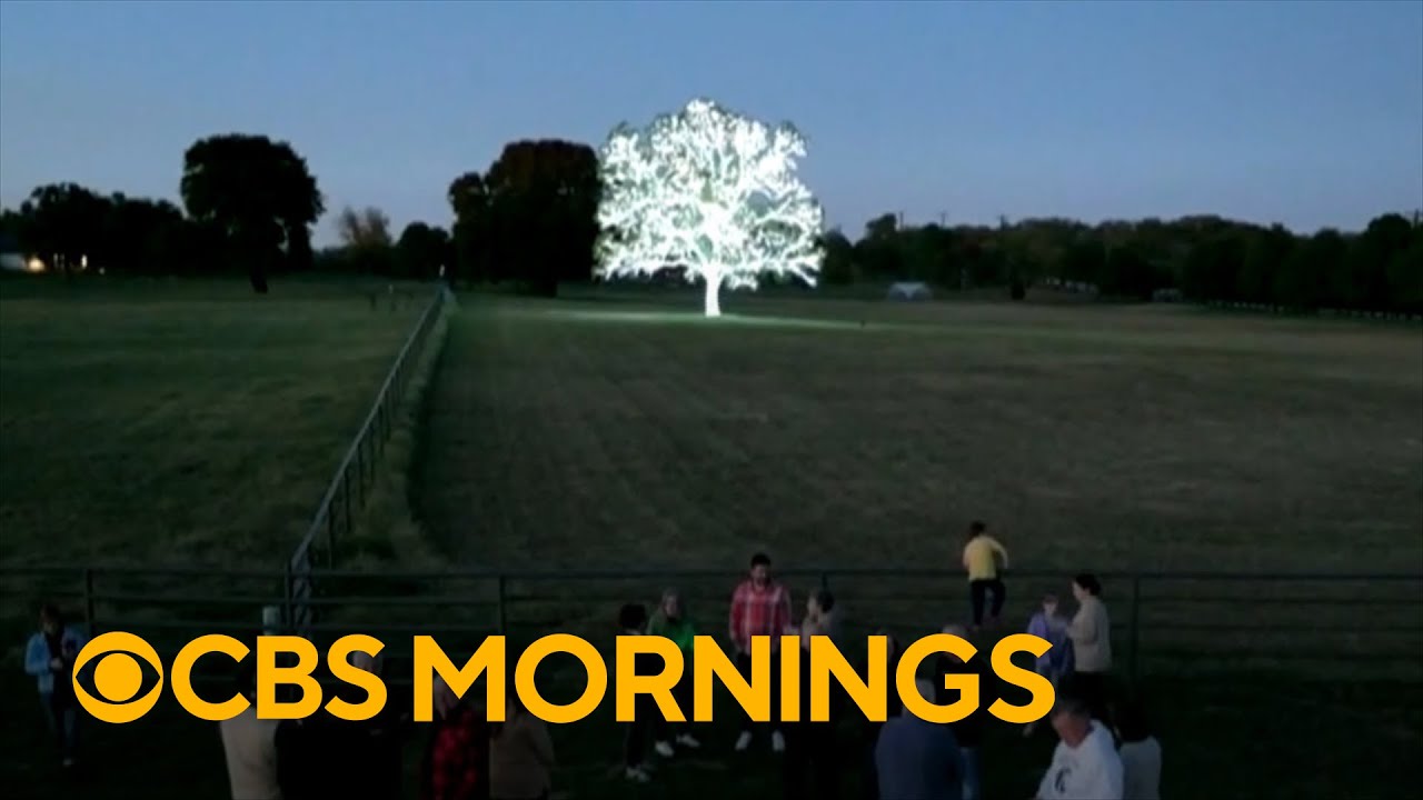 Pecan tree decorated for Christmas draws visitors from hundreds of miles away