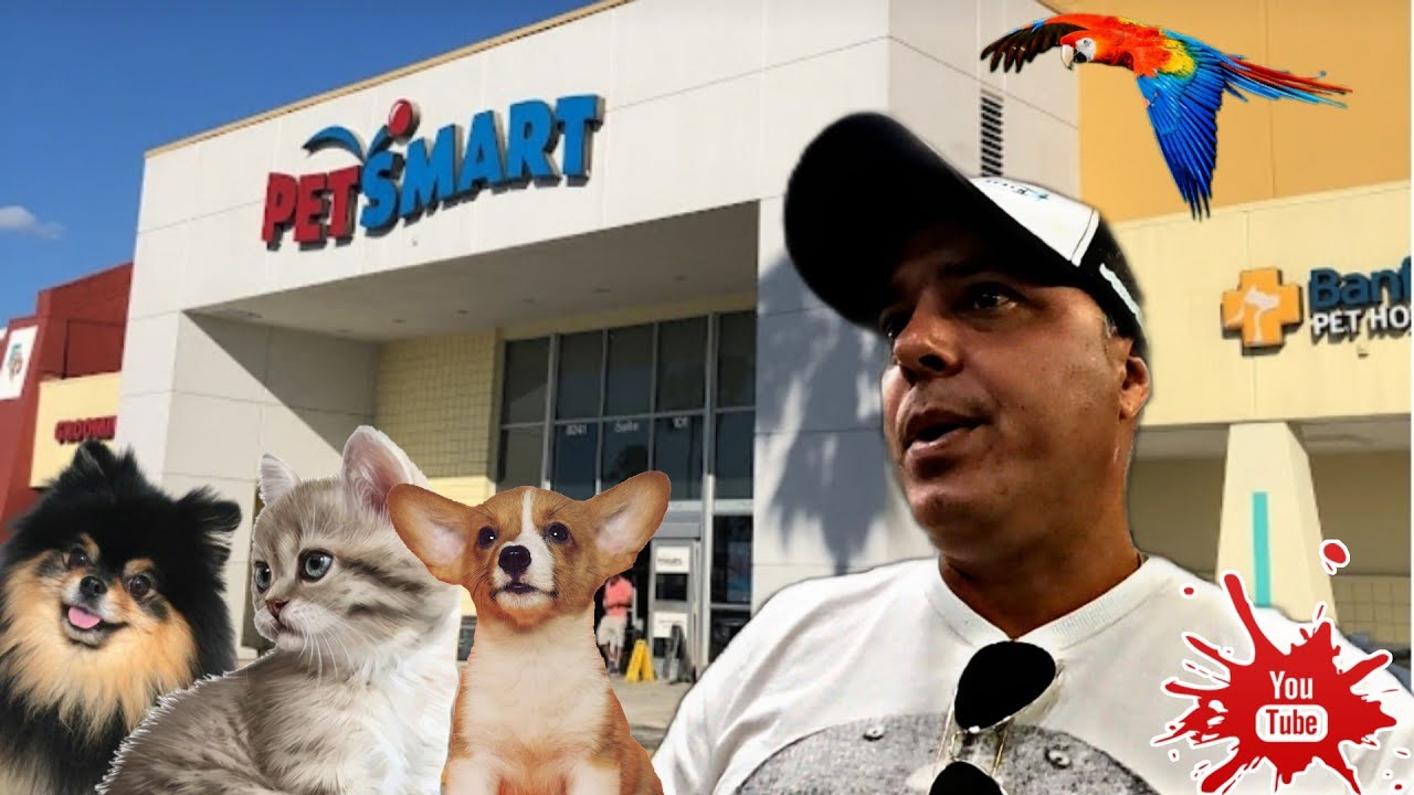 Nos vamos a una Tienda de Mascotas!! PetSmart #trending #miami #viral