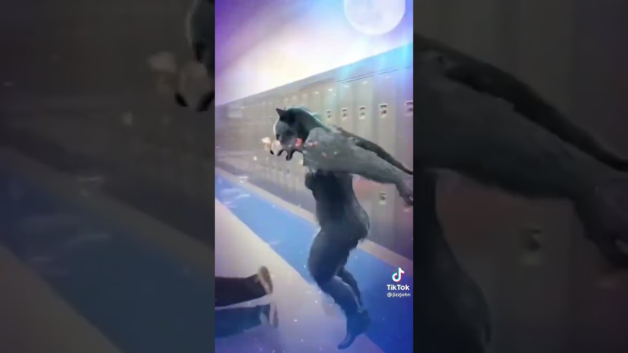 You're never going to be a real werewolf - tiktok